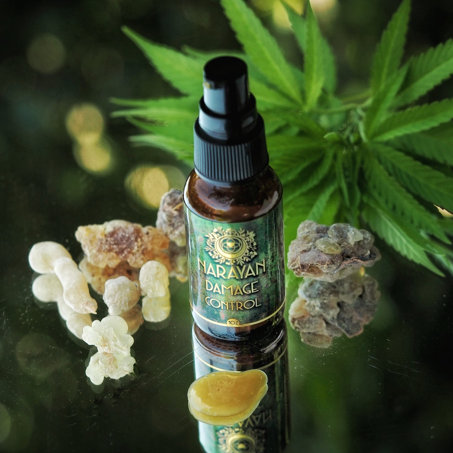 Damage Control ~ Serum