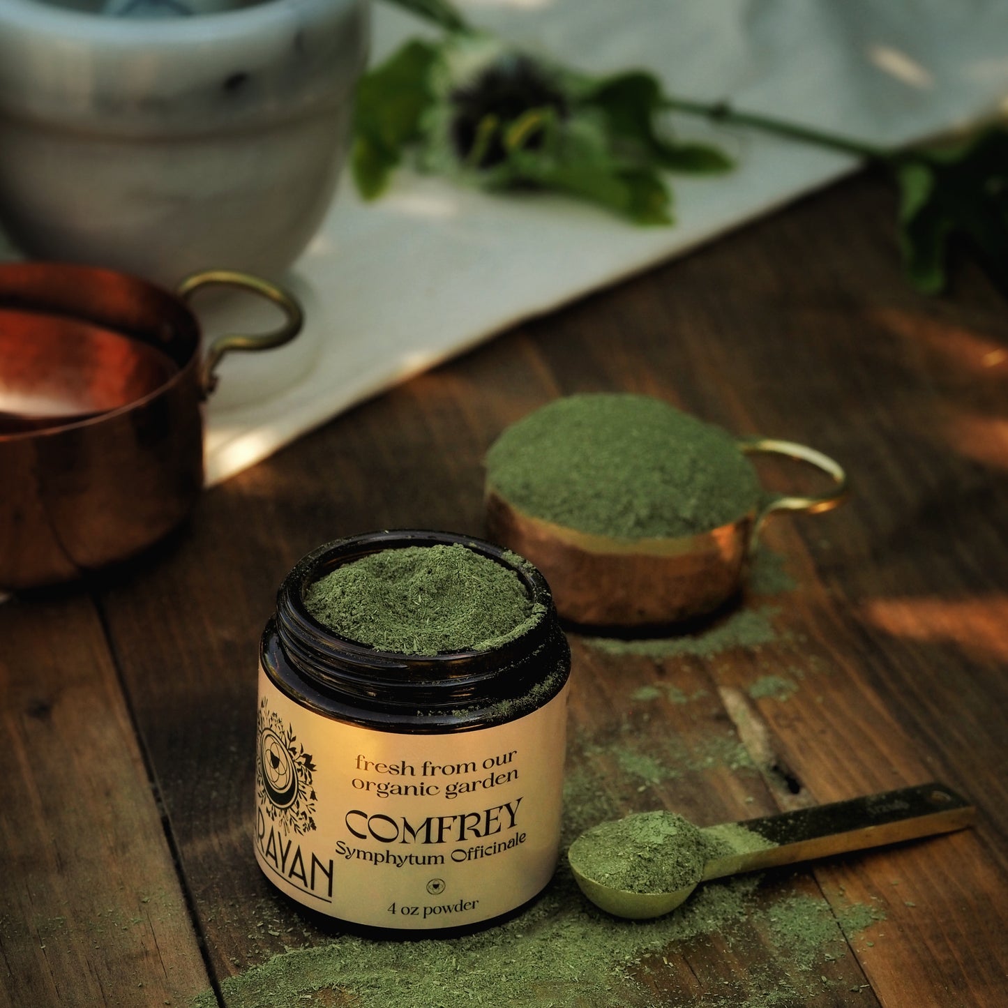 Comfrey ~ Dried & Powdered