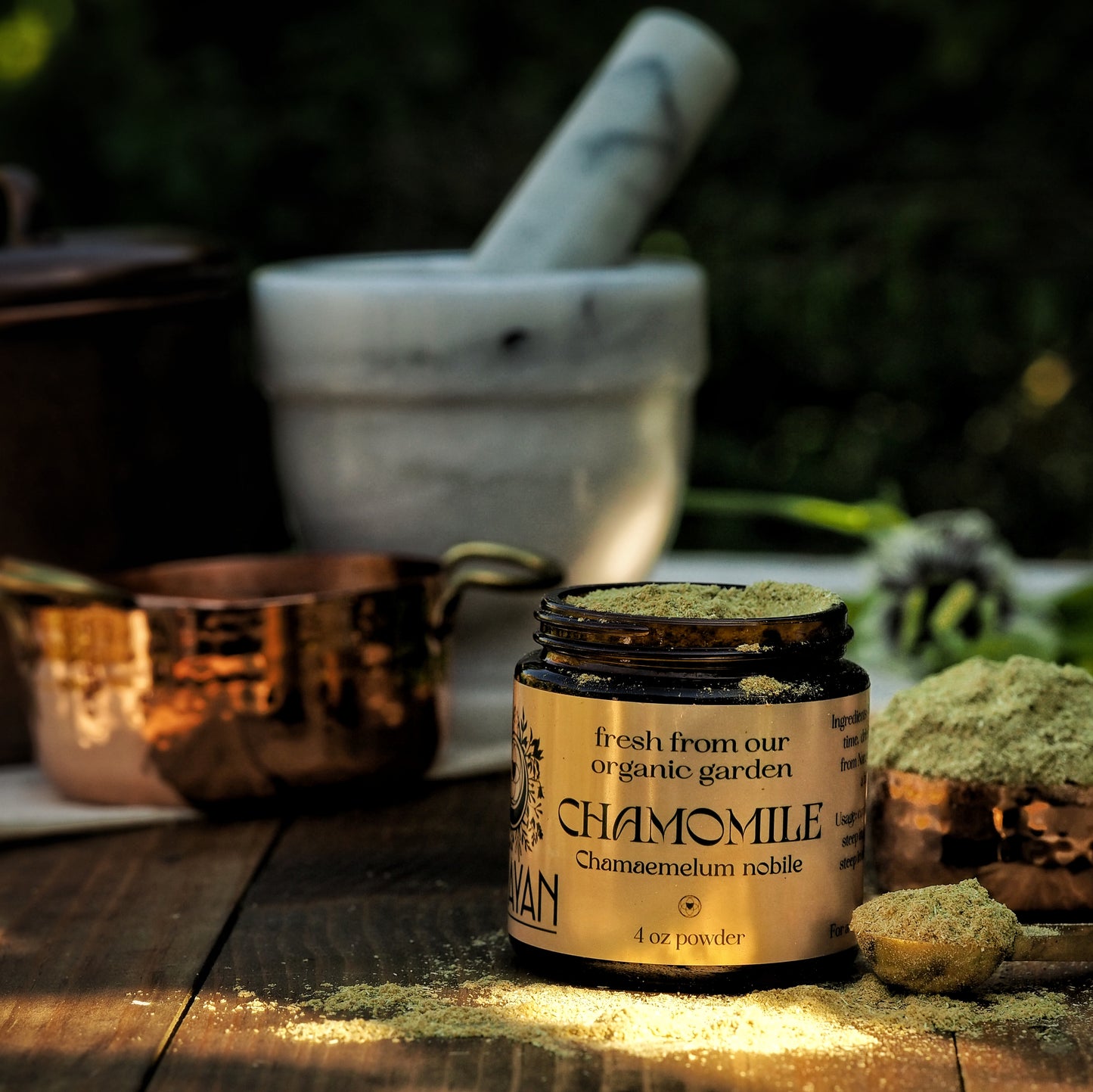 Chamomile ~ Dried & Powdered