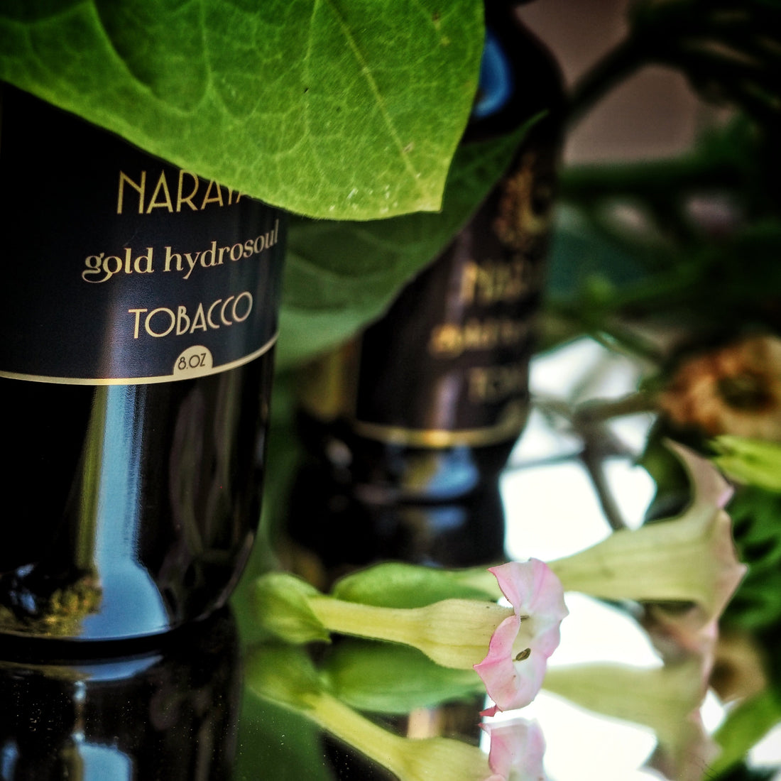 Sacred Tobacco V Synthetic Nicotine