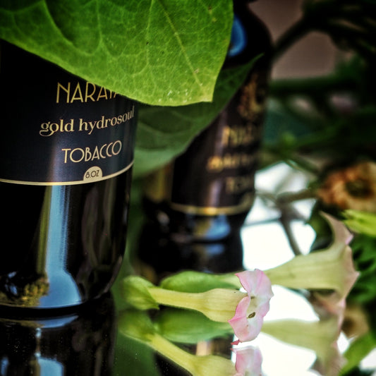 Sacred Tobacco V Synthetic Nicotine