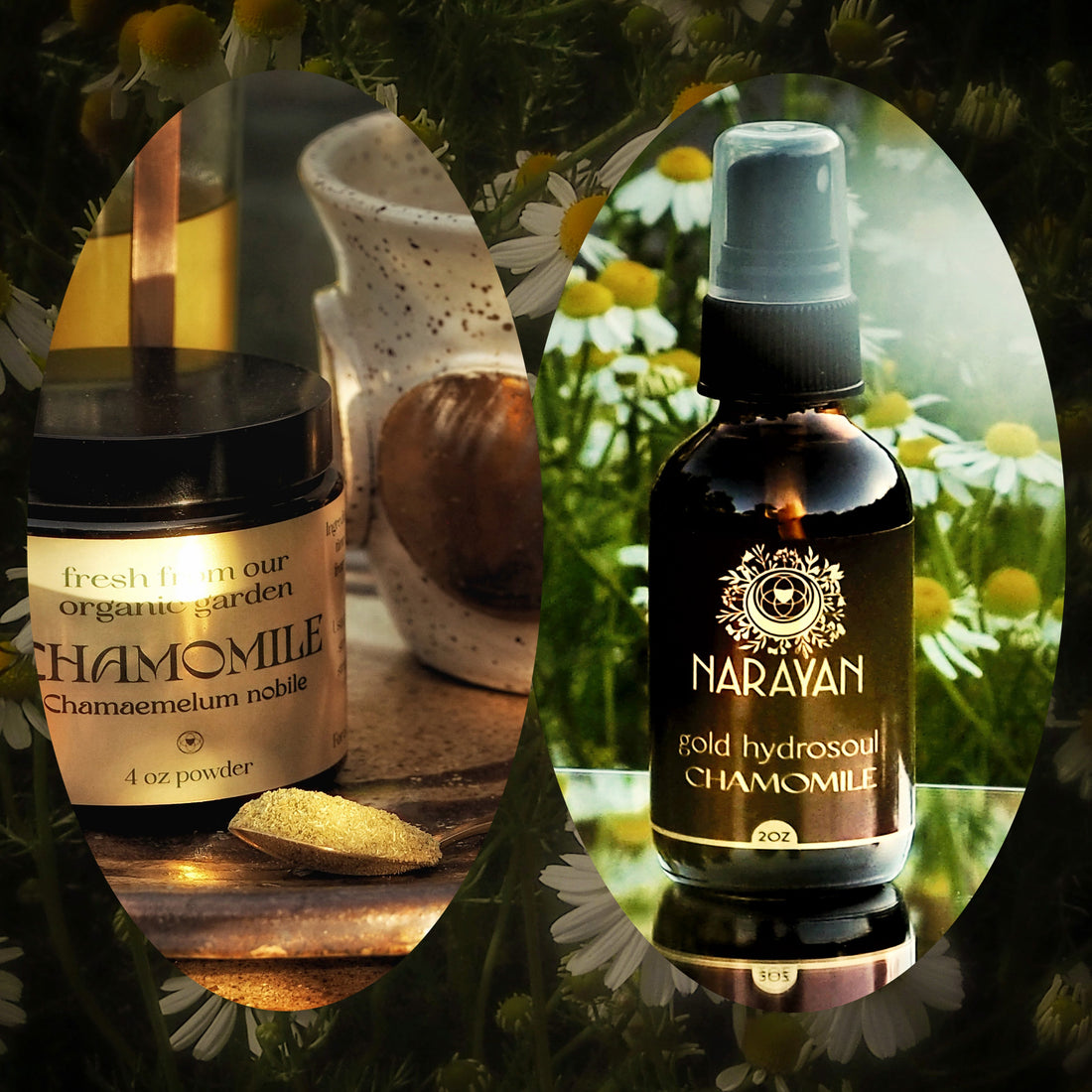 Pharma vs Chamomile.. chamomile wins