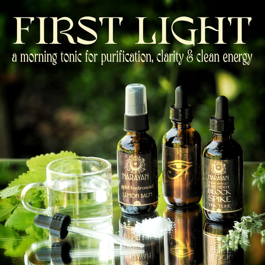 FIRST LIGHT TONIC a daily morning tonic for purification