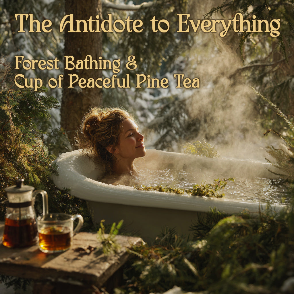 The Cup + The Soak: Winter Medicine from the Mountain