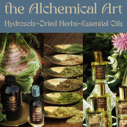 the Alchemical Art ~Hydrosols~ Dried Herbs ~Essential Oils