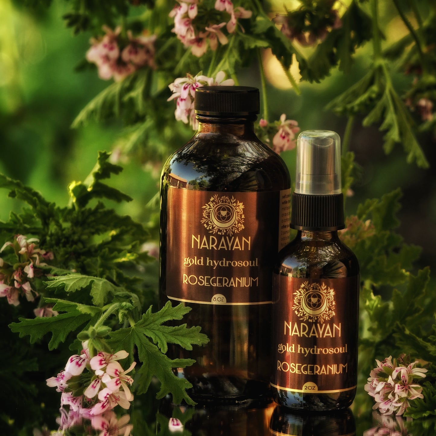 Rose Geranium~Gold Hydrosoul