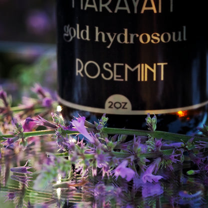 Rose Mint ~ Gold Hydrosoul