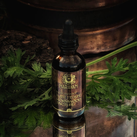 Wormwood Tincture ~ Triple Extract