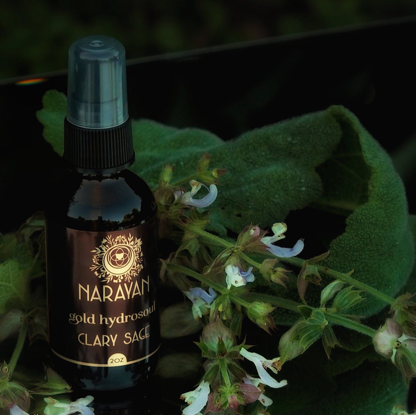 Clary Sage ~ Gold Hydrosoul