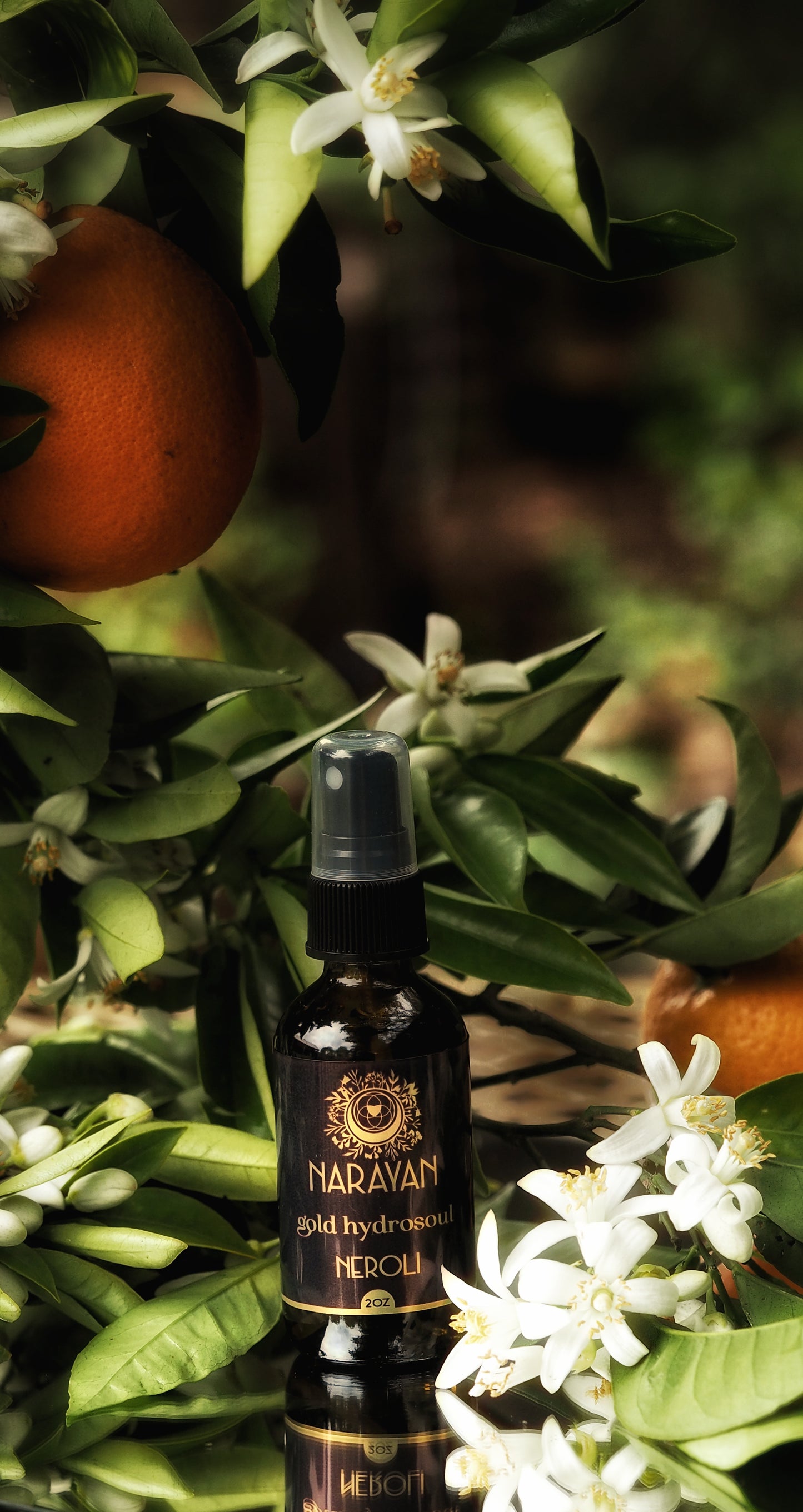 Neroli ~ Gold Hydrosoul