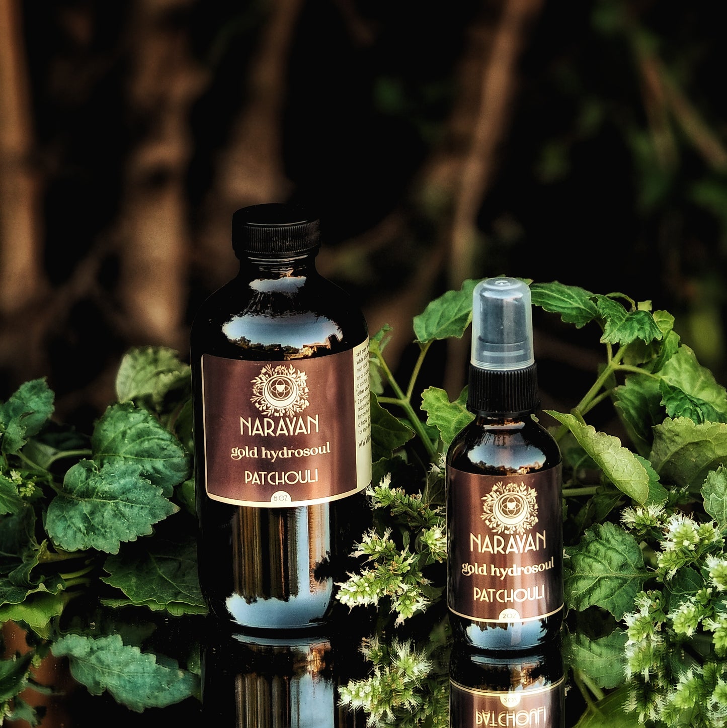Patchouli ~ Gold Hydrosoul