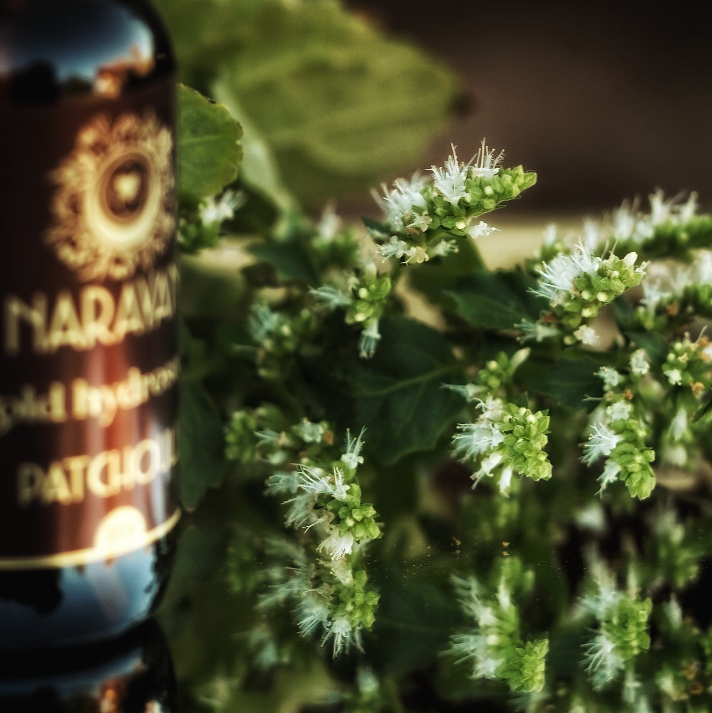 Patchouli ~ Gold Hydrosoul