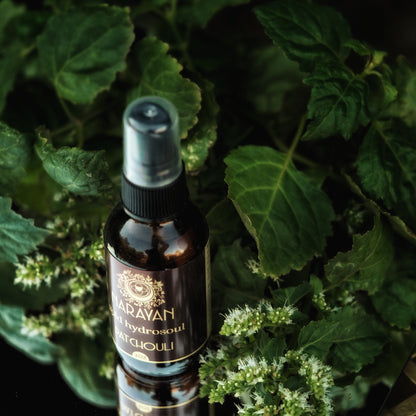 Patchouli ~ Gold Hydrosoul