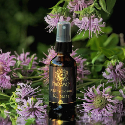Bee Balm ~ Gold Hydrosoul