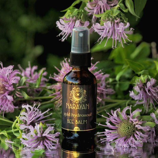 Bee Balm ~ Gold Hydrosoul
