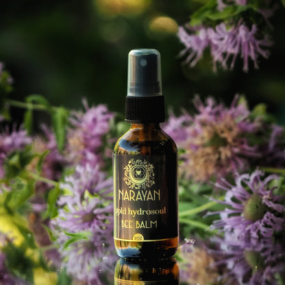 Bee Balm ~ Gold Hydrosoul