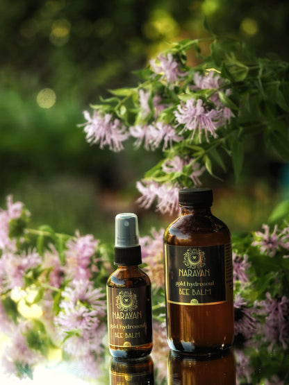 Bee Balm ~ Gold Hydrosoul