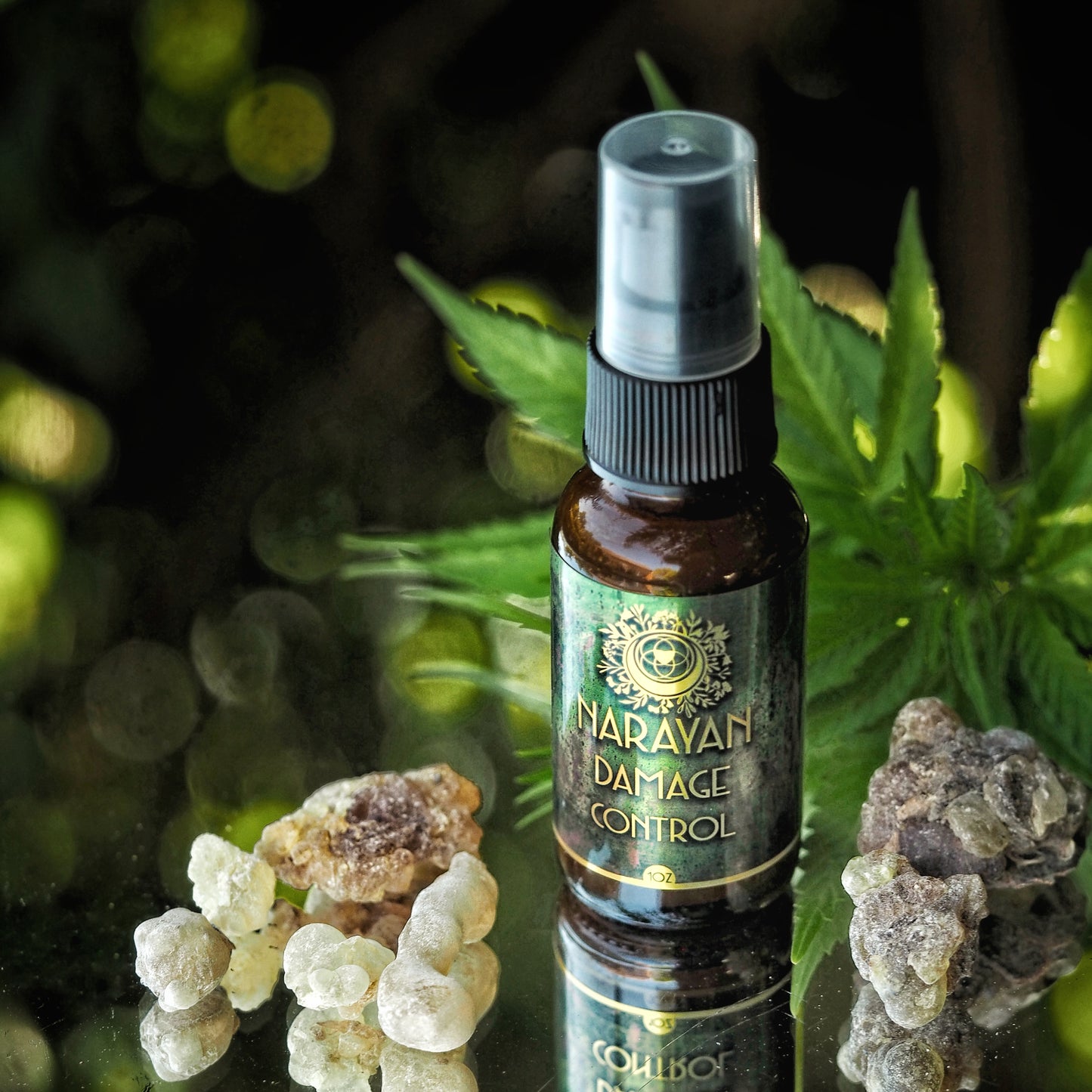 Damage Control ~ Serum