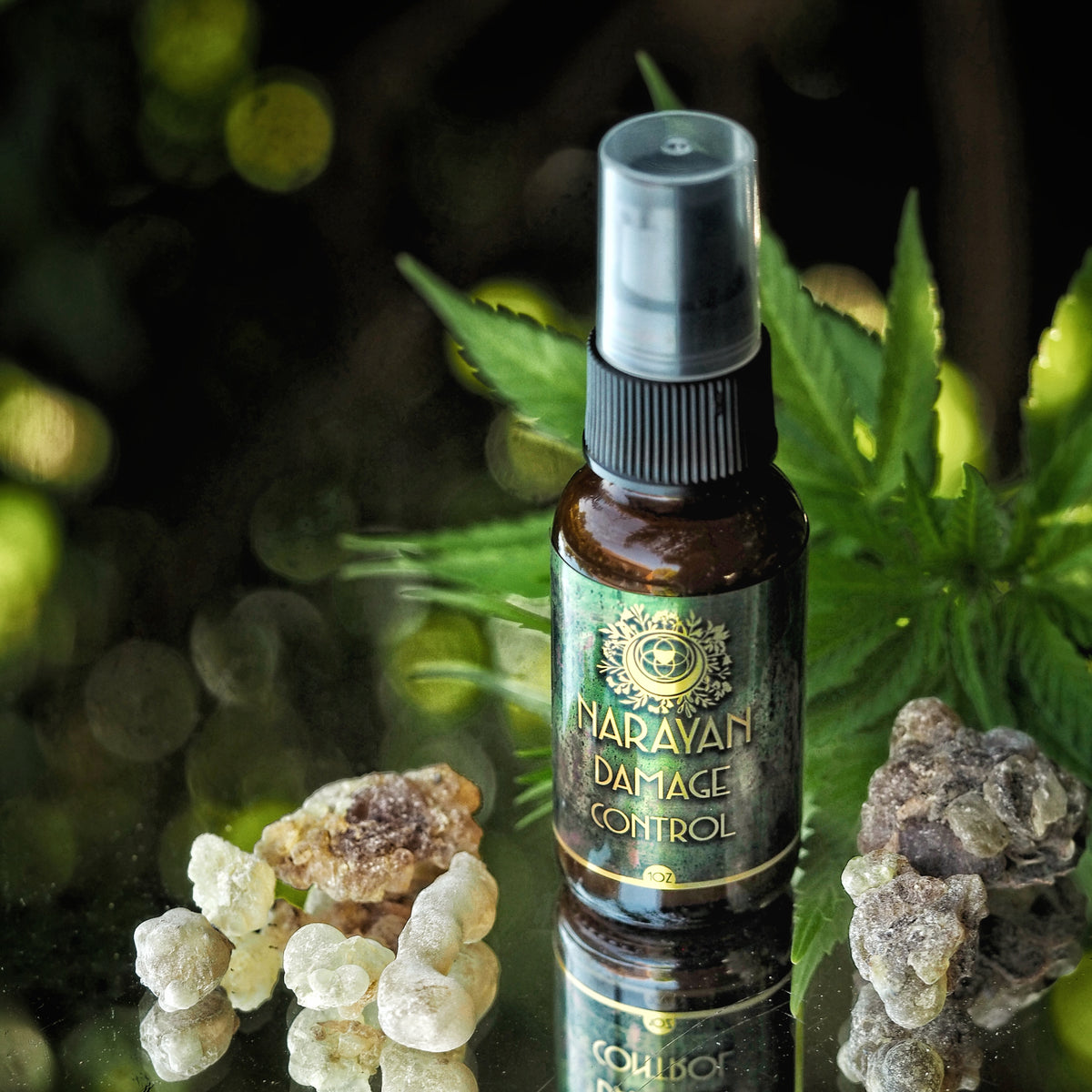 Damage Control resurfacing serum