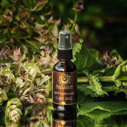 Clary Sage ~ Gold Hydrosoul
