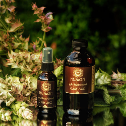 Clary Sage ~ Gold Hydrosoul