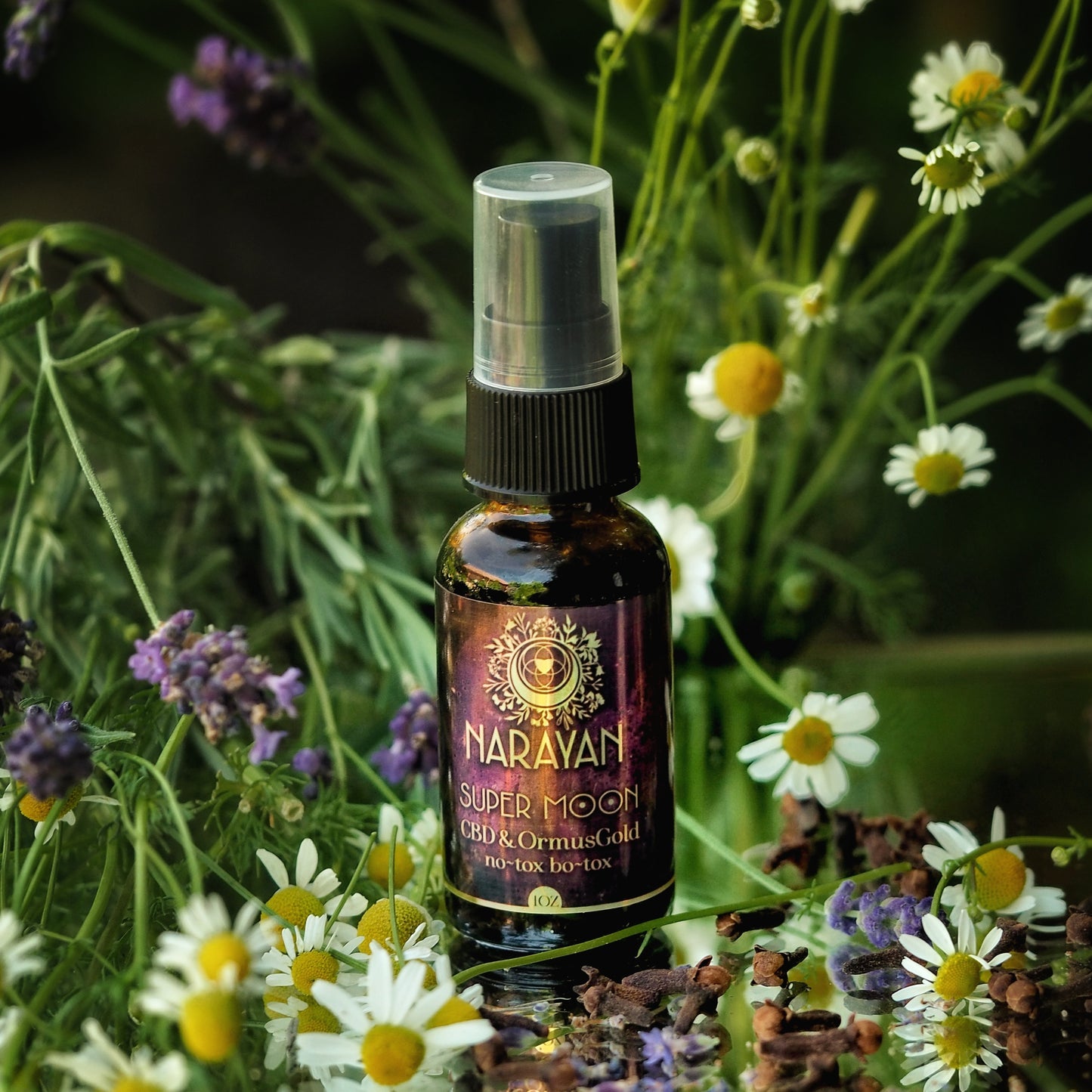 Super Moon ~ Face Oil