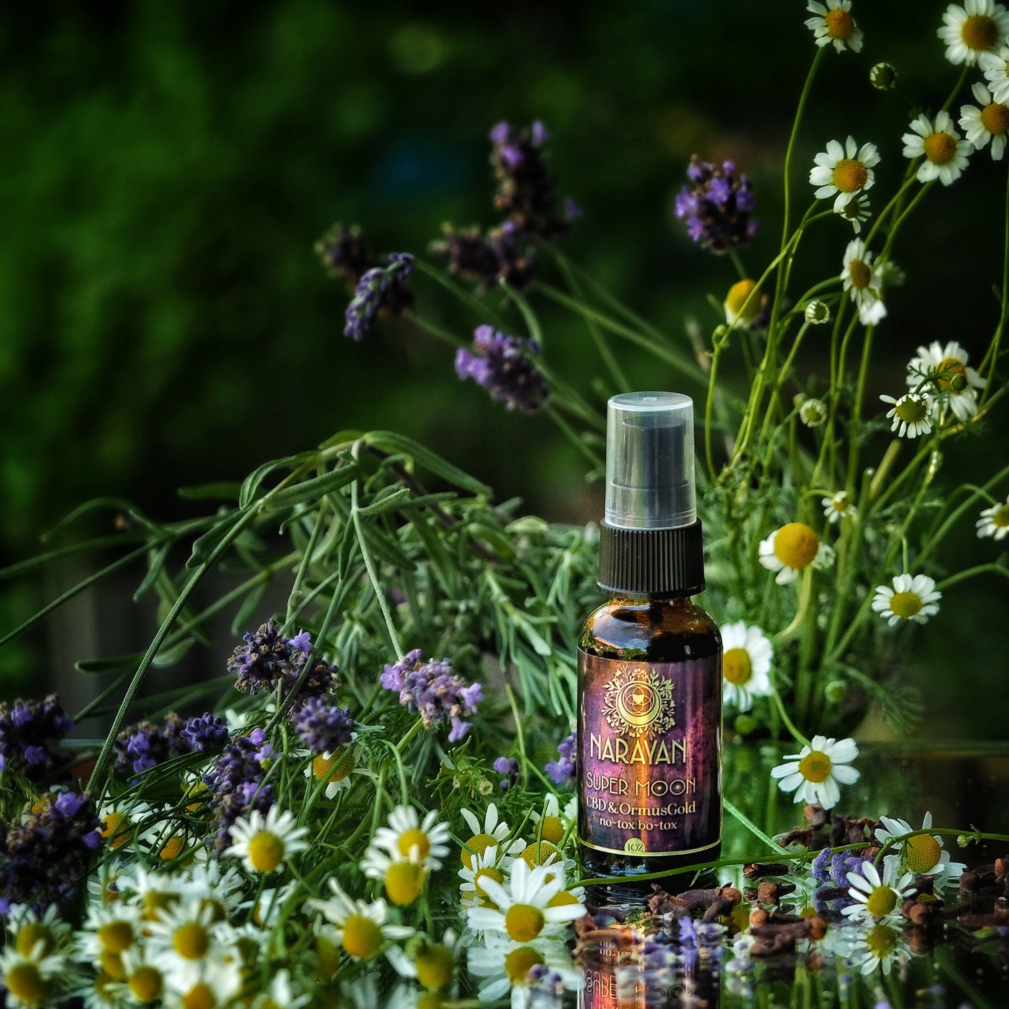 Super Moon ~ Face Oil