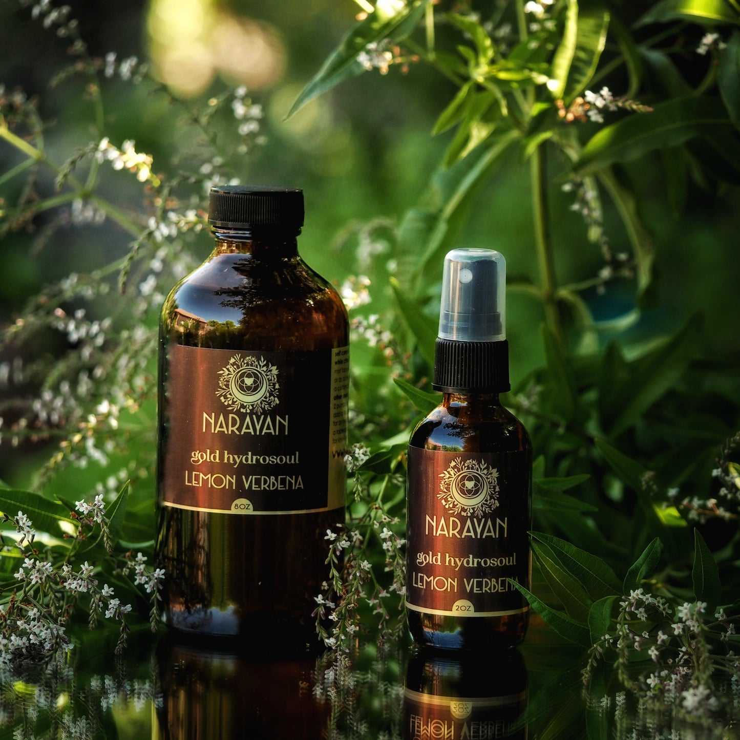 Lemon Verbena ~ Gold Hydrosoul