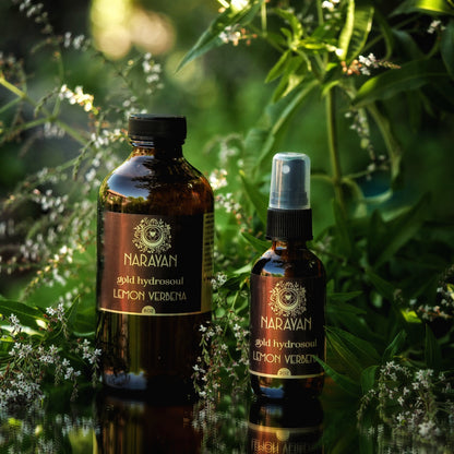 Lemon Verbena ~ Gold Hydrosoul