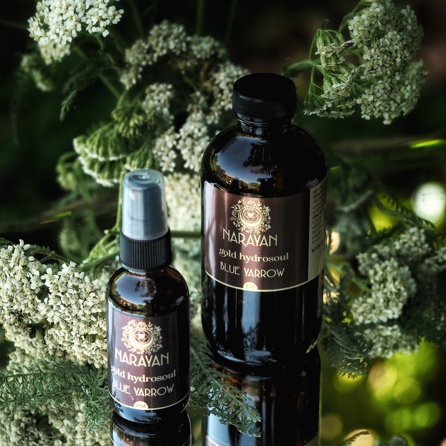 Blue Yarrow ~ Gold Hydrosoul