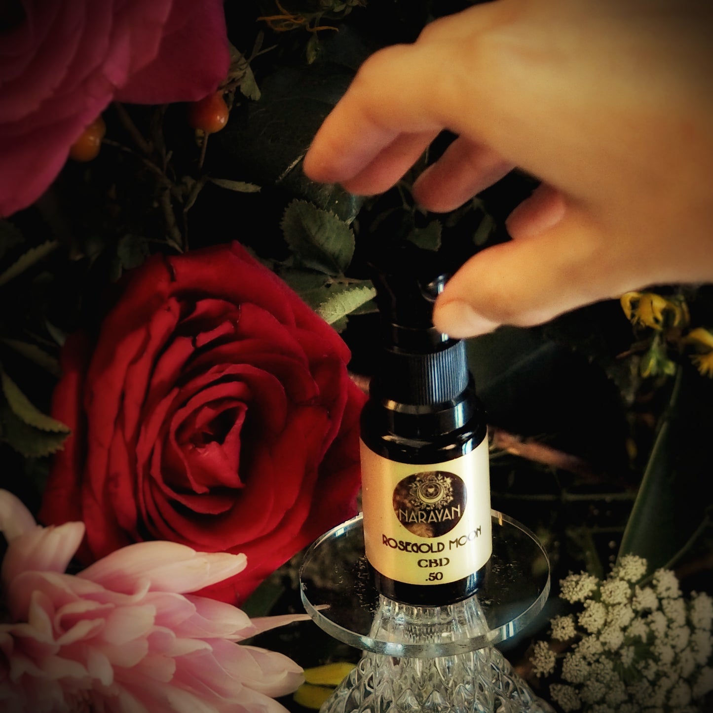 RoseGold Moon ~ Face Oil