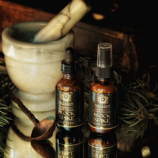 Block The Spike ~ An Inside Outside Duo