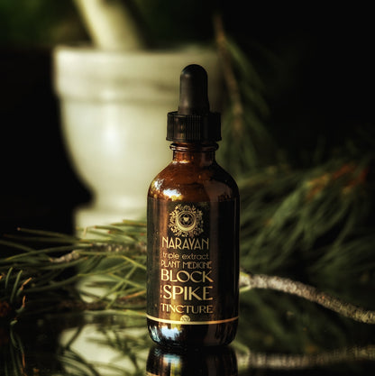 Block The Spike ~ An Inside Outside Duo